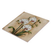 白オーキッドフラワーズヴィンテージ植物 タイル (側面)