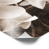 白オーキッドフラワーセピアブラックバックグラウンドフローラ フォトプリント (角)