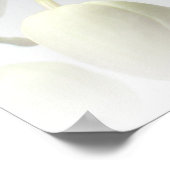 白オーキッドプリント ポスター (角)