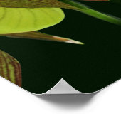 白オーキッドレディースリッパーフラワーペア ポスター (角)