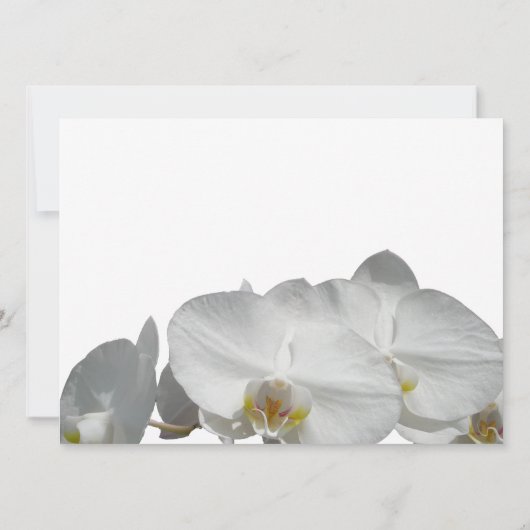 白オーキッド海結婚波 招待状 (裏面)