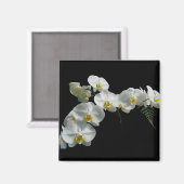 白オーキッド磁石 マグネット (正面/裏面)