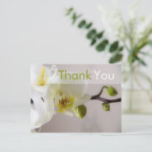 白オーキッド・ありがとうはがき ポストカード (スタンド正面)