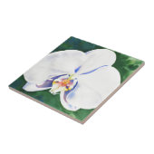 白オーキッド タイル (側面)