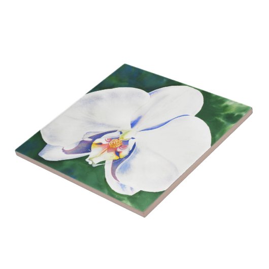 白オーキッド タイル (側面)