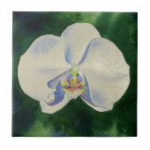 白オーキッド タイル (正面)