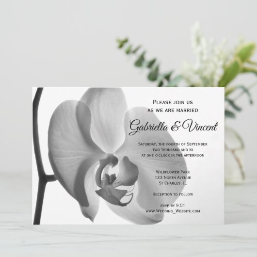 白オーキッ結婚ズ 招待状 (スタンド正面)