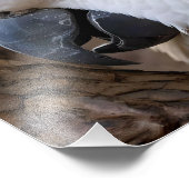 白オーストラリア産のオウム フォトプリント            (角)