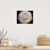 白カメリア ポスター (キッチン)