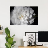 白カメリア ポスター (ホームオフィス)