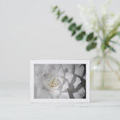 白カメリア(縁ど) 名刺 (スタンド正面)