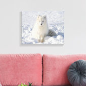 白キツネ キャンバスプリント (インサイチュ (リビング))