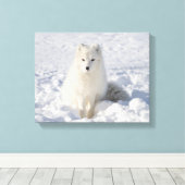 白キツネ キャンバスプリント (インサイチュ (ウッドフロア))