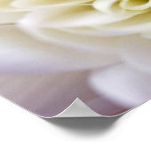 白キリサンテムフラワーポスター ポスター (角)