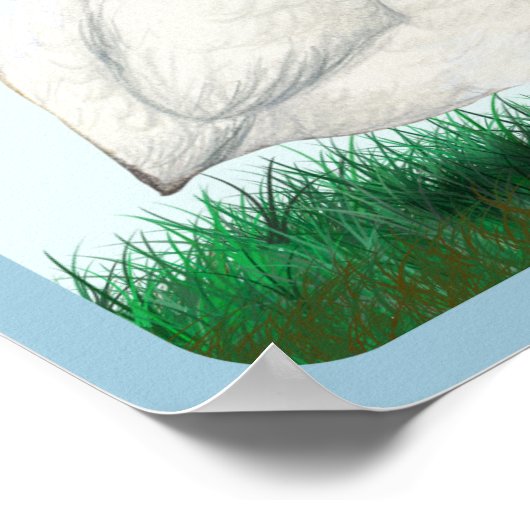 白ギニア ポスター (角)