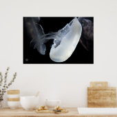 白クラゲ ポスター (キッチン)