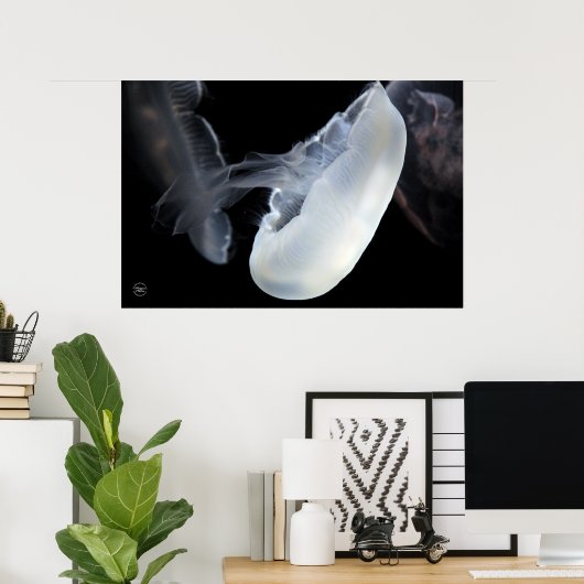 白クラゲ ポスター (ホームオフィス)