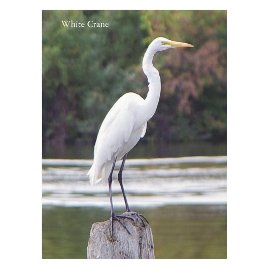 白クレーンテーブルクロス テーブルクロス (正面)