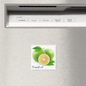 白グレープフルーツ マグネット (インサイチュ (食洗機))