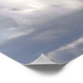 白コカトー ポスター (角)