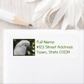 白コカトー ラベル (インサイチュ)