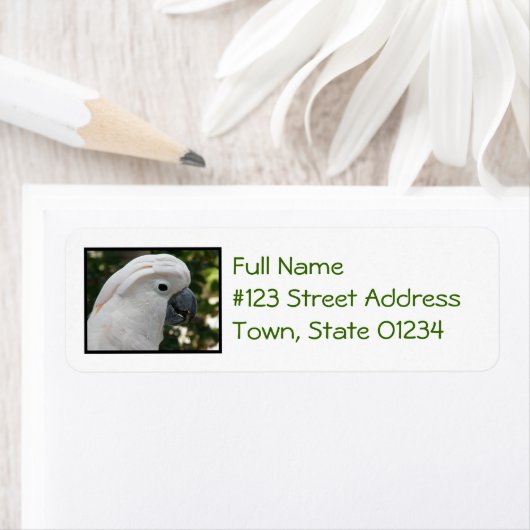 白コカトー ラベル (インサイチュ)