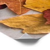 白コン葉クリート床乾物 ポスター (角)