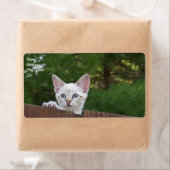 白サバンナ猫の出荷ラベル ラベル (インサイチュ)