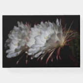 白サボテンの花のトリオ ゲストブック (裏面)