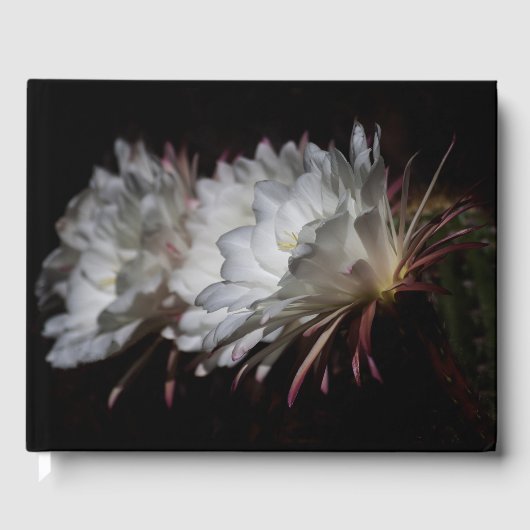白サボテンの花のトリオ ゲストブック (正面)
