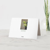 白サボテンの花フローラトープ空白のノート カード (裏面)