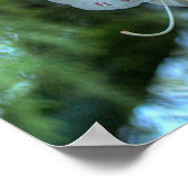 白シャクナゲ ポスター (角)