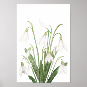 白スノードロップ花植物水彩画 ポスター