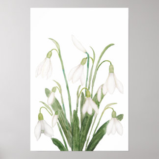 白スノードロップ花植物水彩画 ポスター