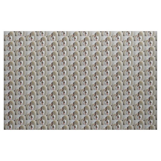 白スワンズ織物 ファブリック (ヤード)