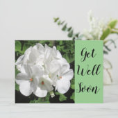 白ゼラニウム写真を手に入れる (スタンド正面)