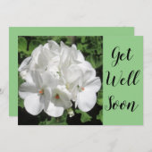 白ゼラニウム写真を手に入れる (正面/裏面)