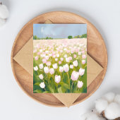 白チューリップの花畑の絵 ポストカード