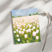 白チューリップの花畑の絵 ポストカード