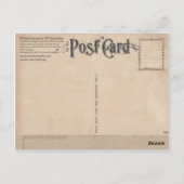 白チョウザメ玉沢アンティーク葉書 ポストカード (裏面)