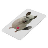 白チンチラ滴下カップ マグネット (左側)