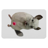 白チンチラ滴下カップ マグネット (横)