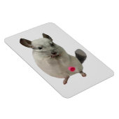 白チンチラ滴下カップ マグネット (右側)