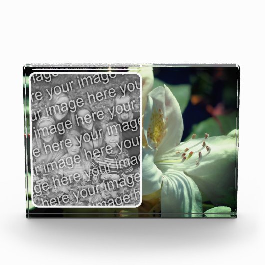 白ツツツジの花が自分の花を作成 フォトブロック (正面)