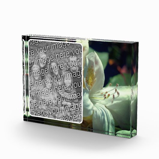 白ツツツジの花が自分の花を作成 フォトブロック (右)