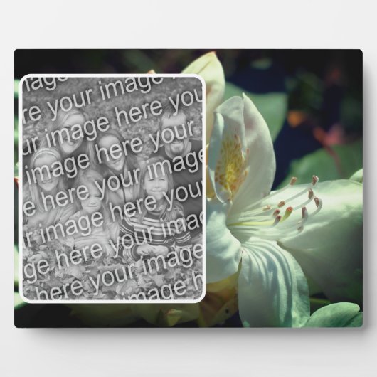 白ツツツジの花自分の写真を作成 フォトプラーク (正面)