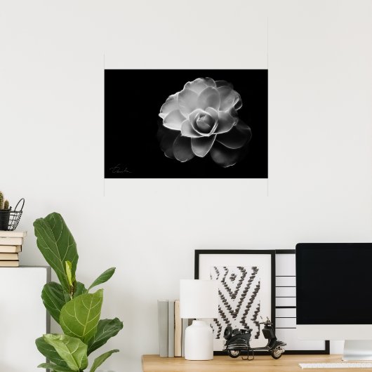 白ツバキBW ポスター (ホームオフィス)