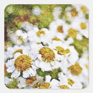 白デイジーの花絵画- Art Sticker スクエアシール