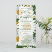 白デイジーエレガント白フローラフィールド (スタンド正面)