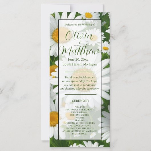 白デイジーエレガント白フローラフィールド (正面)